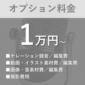 オプション料金 オプション料金